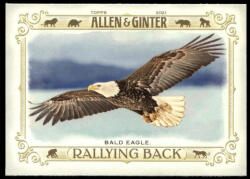 Topps 2021-22 Topps Allen and Ginter Rallying Back #RB-3 Bald Eagle