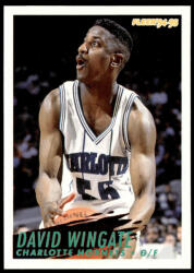 Fleer 1994-95 Fleer #28 David Wingate