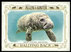 Topps 2021-22 Topps Allen and Ginter Rallying Back #RB-10 West Indian Manatee