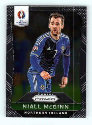 Panini 2016 Panini Uefa Euro Prizm Base #71 Niall McGinn