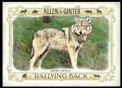 Topps 2021-22 Topps Allen and Ginter Rallying Back #RB-1 Gray Wolf