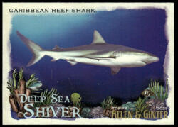 Topps 2021-22 Topps Allen & Ginter Deep Sea Shiver #DSS-13 Caribbean Reef Shark