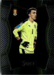Panini 2016-17 Panini Select Mezzanine #162 Fernando Muslera