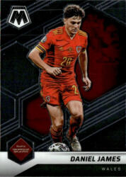 Panini 2021-22 Panini Mosaic Road to FIFA World Cup #83 Daniel James