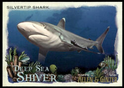 Topps 2021-22 Topps Allen and Ginte Deep Sea Shiver #DSS-15 Silvertip Shark