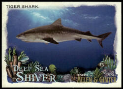 Topps 2021-22 Topps Allen and Ginte Deep Sea Shiver #DSS-4 Tiger Shark