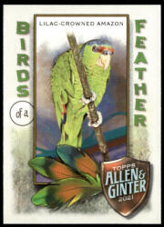 Topps 2021-22 Topps Allen and Ginter Birds of a Feather #BOF-5 Lilac-Crowned Amazon