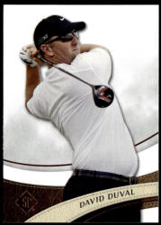 Upper Deck 2014-15 SP Authentic #14 David Duval