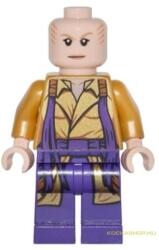 LEGO® Minifigurák Az ősmágus sh0298 (sh0298)