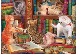 EUROGRAPHICS 6000-5913 - Library Kittens - 1000 db-os puzzle (6000-5913)