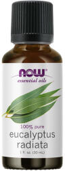 NOW Eucalyptus Radiata Olaj (30 ml)