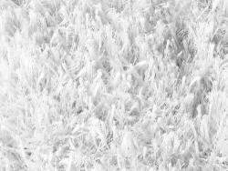 Bakero Shaggy Kota snow Szőnyeg (170x240 cm) (883)