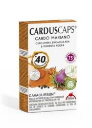 Dieteticos Intersa Capsule cu Armurariu, Curcuma si Piper Negru, 60 Capsule Carduscaps (PB20221)