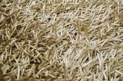 Bakero Shaggy Chips stripe beige Szőnyeg (170x240 cm)