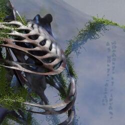 Doell, Jason Becoming In Shadows ~