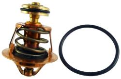 REGULUS Element Termostatic Piesa De Schimb Pentru Tsv3b 5b 45c Vb24 (12102)