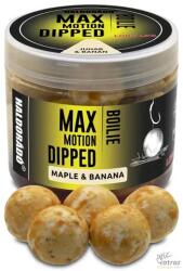 Haldorádó Max Motion Boilie Dipped 20 mm Juhar & Banán - Dippelt Haldorádó Bojli (HD33391)