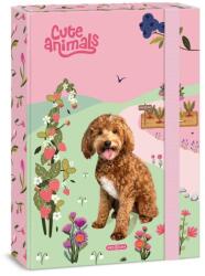 Ars Una Füzetbox Cavapoo spániel kutya Mintával A/4 Ars Una Cuki Állatok - Doggie (50854585)