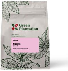 Green Plantation Rwanda Ngoma spălat | Filtra 1 kg
