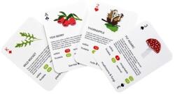 KIKKERLAND Franciakártya, növények (GG132) (GG132)