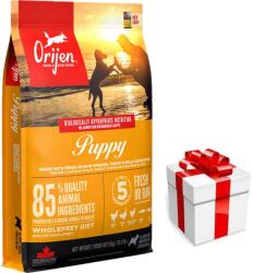 ORIJEN Dog Puppy 6 kg + SURPRIZĂ PENTRU CÂINELE TĂU