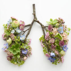  Tiszta Légzés Illóolaj keverék 50 ml - Frissítő Élmény