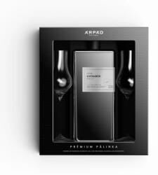 Árpád Pálinka Árpád Prémium Gyömbér Párlat DD+ 2 pohár (0, 5L 40%)
