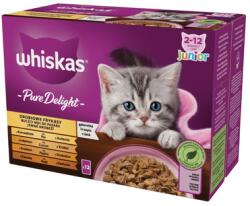 Whiskas Junior tasak 12x85g Baromfi zselés fánkok nedves eledel kiscicáknak zselében: csirke, pulyka, baromfi, kacsa