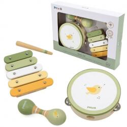 Viga PolarB Set de instrumente muzicale verzi