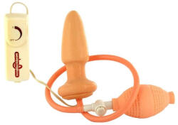 Butt Plug Vibrator With Pump - erotikshop