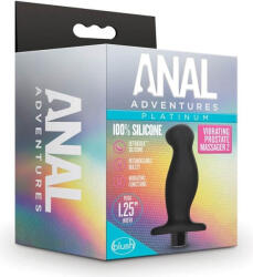 Anal Adventures Prostate Massager 02 - erotikshop