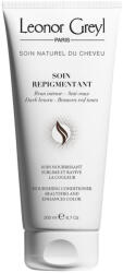 Leonor Greyl Leonor Greyl, Soin Repigmentant, Hair Colour Conditioner, Icy Brown, Enhances Color Vibrancy, 200 ml