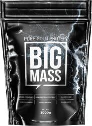 Pure Gold BIG-Mass Gainer - 3000g Chocolate Hazelnut