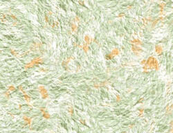 SILKCOAT ТЕЧЕН ТАПЕТ prestige silkcoat 0.750кг 211 (7211)