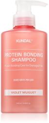 KUNDAL Protein Bonding Care Shampoo sampon hranitor pentru păr uscat și deteriorat cu parfum Violet Muguet 500 ml
