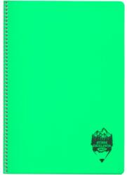 DACO Caiet A4 cu spira si coperta plastic Daco CT496DR, 96 file, 70 g/mp, Dictando, Verde (CT496DR/VERDENEON)