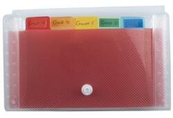 Exacompta Cutie acordeon, 180x110mm, PP, 6 compartimente, EXACOMPTA (55498E)