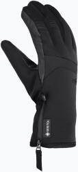Viking Mănuși de schi pentru femei Viking Paganella GTX Ski black