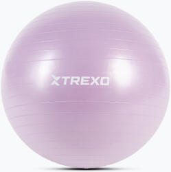 XTREXO Minge de gimnastică XTREXO TXO-B4Z008-VT 65 cm violet Minge fitness