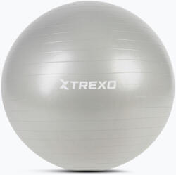 TREXO Minge de gimnastică TREXO TXO-B4Z009-GY 75 cm gri