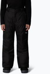 The North Face Pantaloni de schi pentru copii The North Face Freedom Insulated black