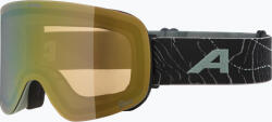Alpina Предпазни ски очила Alpina Penken Q-Lite willow/ green matt/ gold