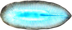 MIJ Farfurie ovală Sky Blue Ridge, 32, 5 x 13, 5 cm, MIJ (MIJC0700) Tava