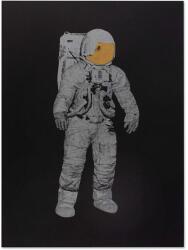 Donkey fali dekoráció "Astronaut" - többszínű Univerzális méret
