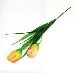 Narancssárga-sárga krókusz levéllel, virágfej mérete: kb. 2, 5x4, 5 cm