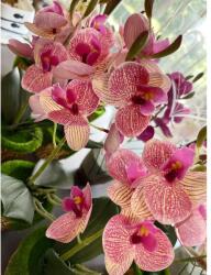 Manóvilág Cserepes Orchidea /rózsaszín Cirmos / 28 Cm (élethű, Gondozásmentes)