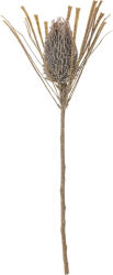 Bloomingville Floare artificală Bloomingville ciulin decorativ maro (82061471)