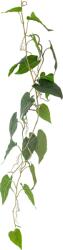 Bloomingville Floare artificială suspendată Bloomingville anthurium (82061498)