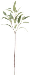 Bloomingville Floare artificală Bloomingville eucalipt 18 x 85 cm verde (82061520)