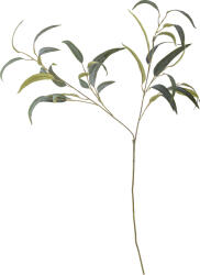 Bloomingville Floare artificală Bloomingville eucalipt 101 cm verde (82061519)